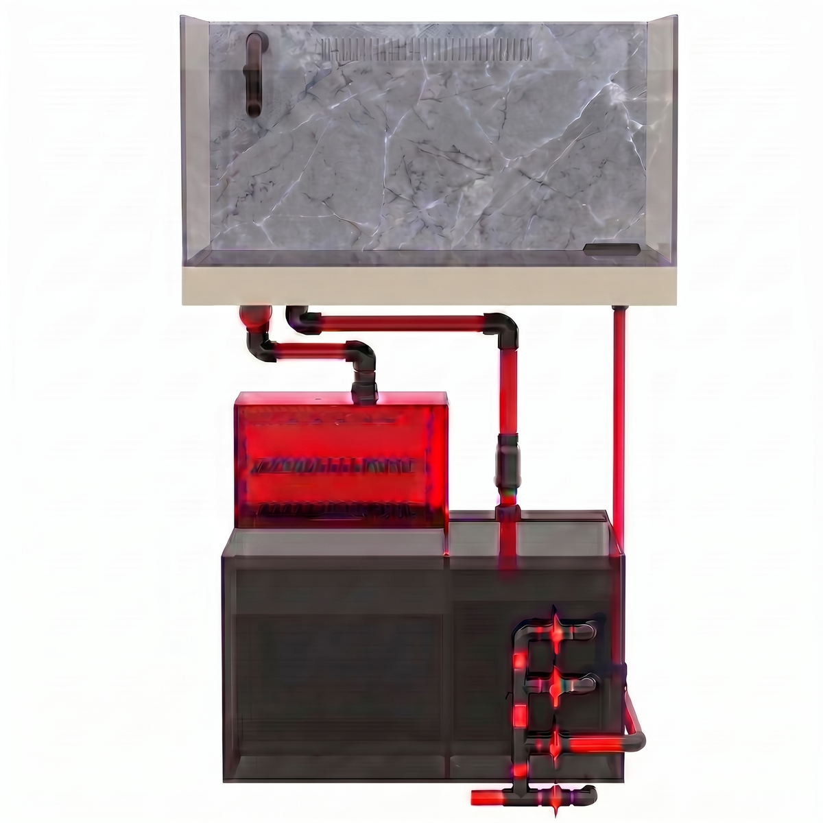 See How Your Aquarium System Works