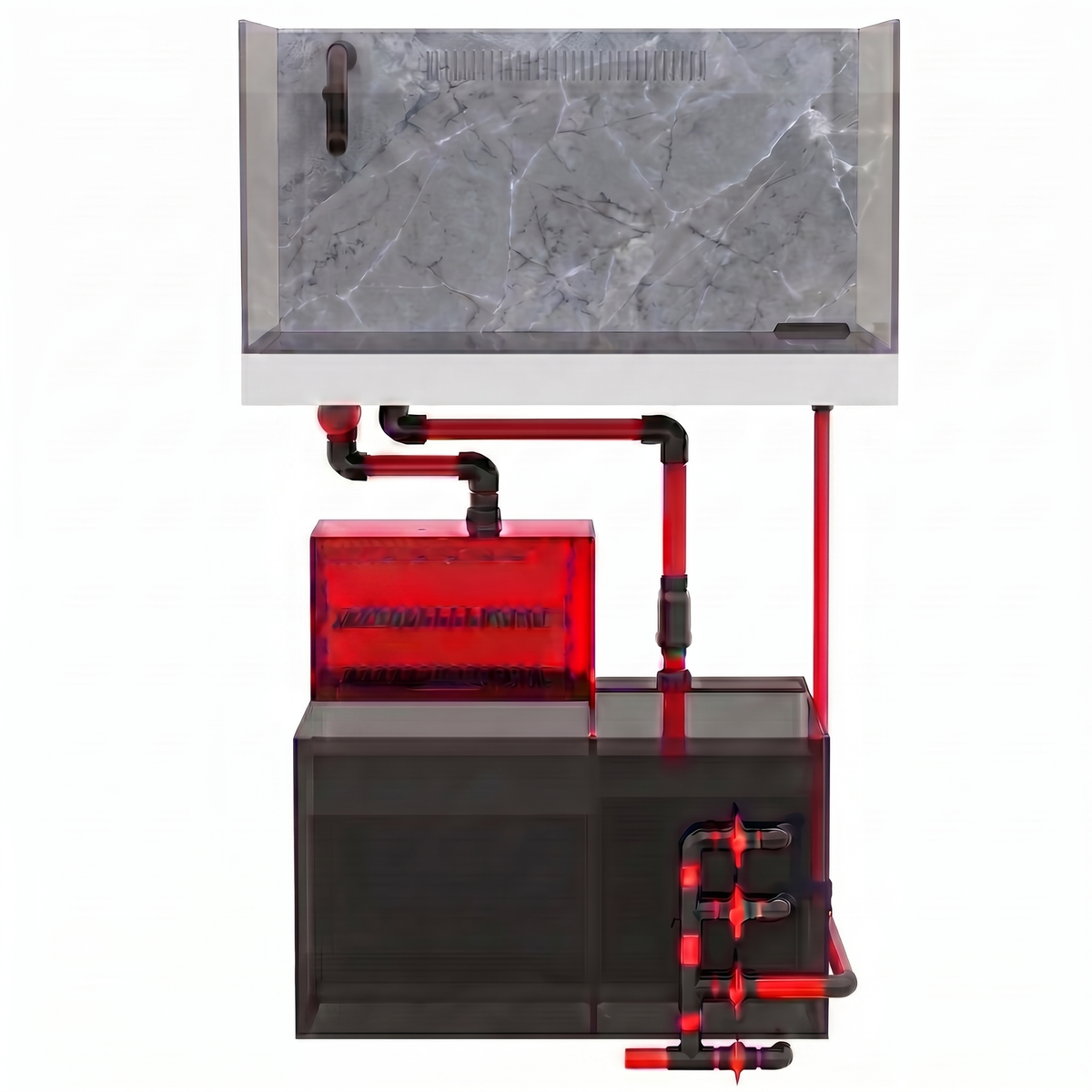 See How Your Aquarium System Works