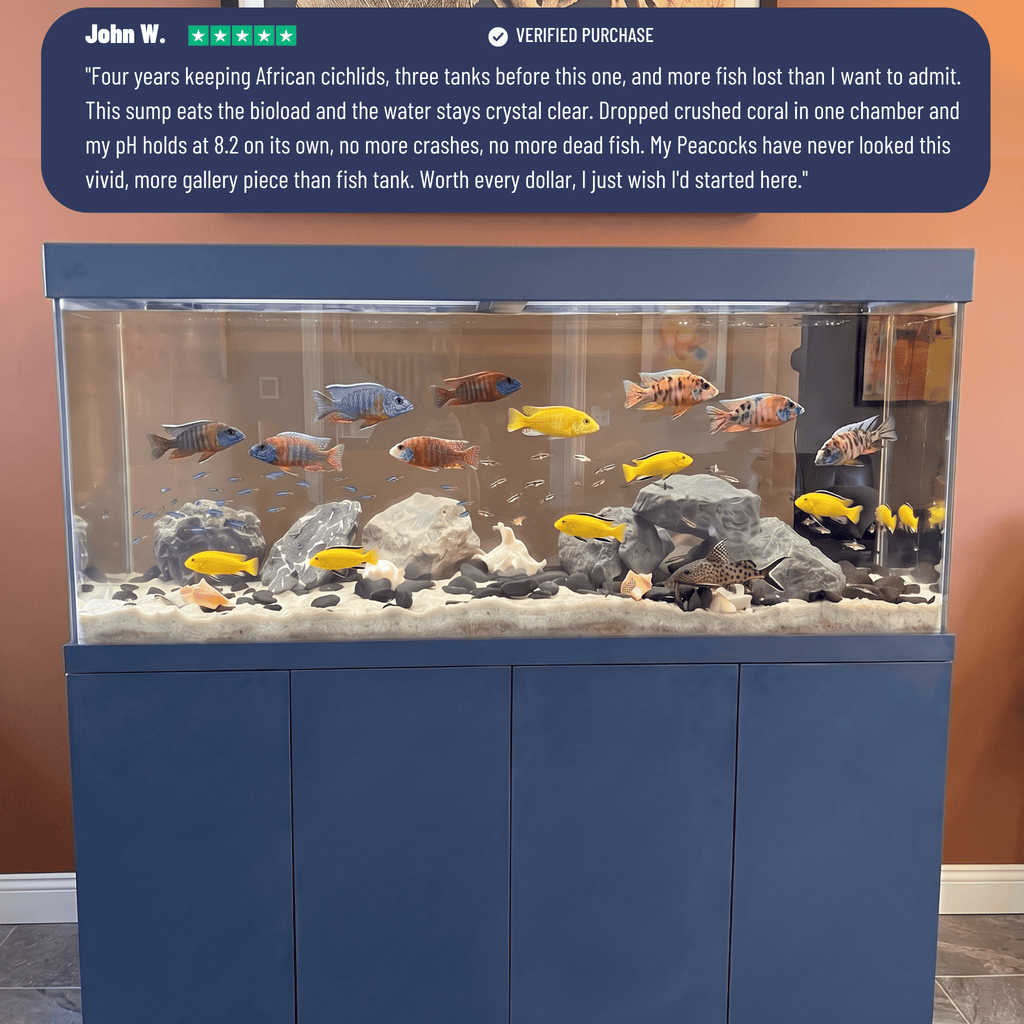 209 Gallon Fish Tank – Ultra Clear Architecture – Navy Blue Crown Series