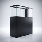 10 Gallon Fish Tank 3