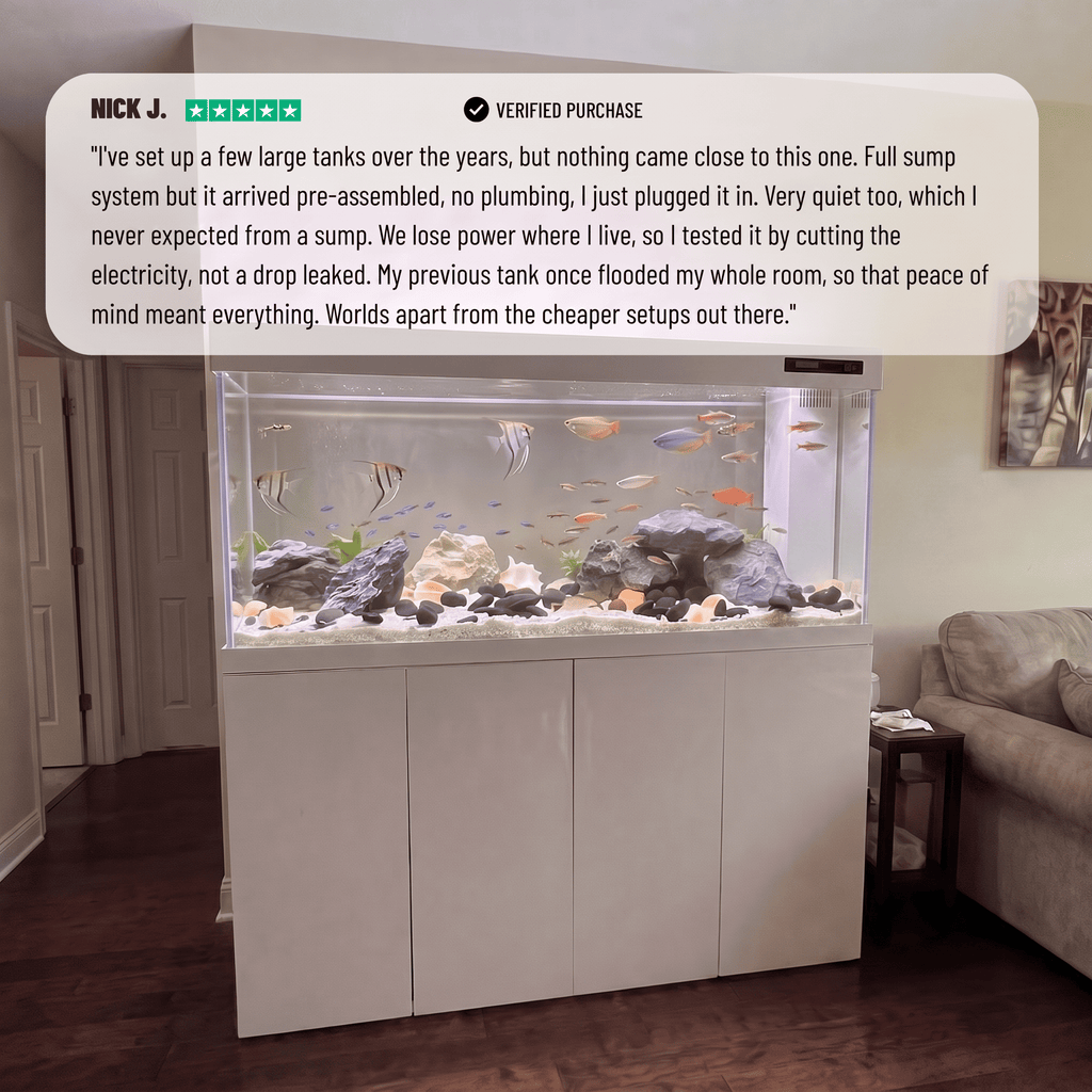 209 Gallon Fish Tank –  Ultra Clear Architecture – White Titan Series