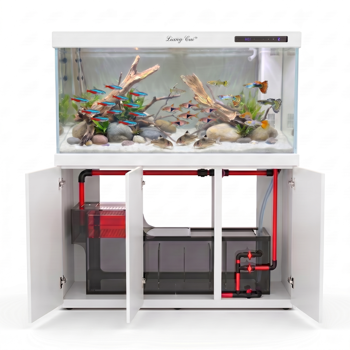 See How Your Aquarium System Works