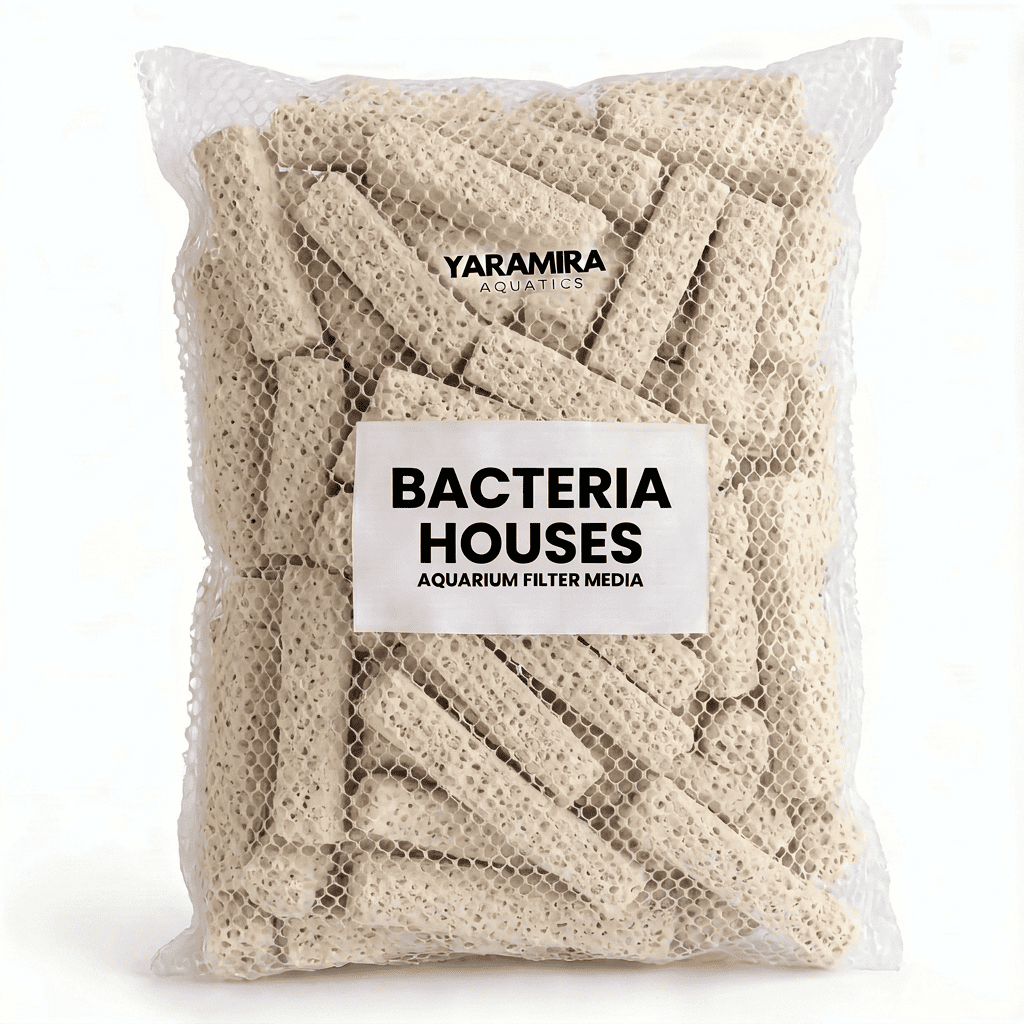 Bacteria House 24 pcs | Colony Boost
