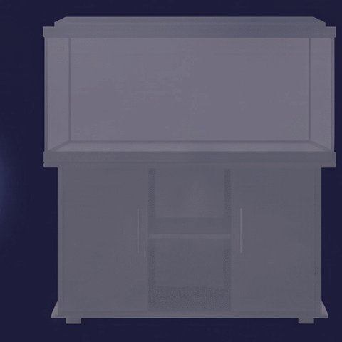 Typical aquarium